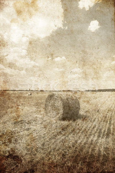 Golden bales in the countryside. Photo in retro style  Stock photo © Massonforstock