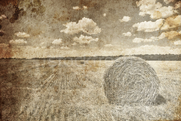 Golden bales in the countryside. Photo in retro style  Stock photo © Massonforstock