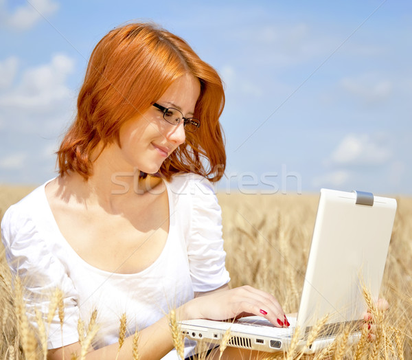 Stockfoto: Jonge · onderneemsters · witte · werken · notebook · tarwe