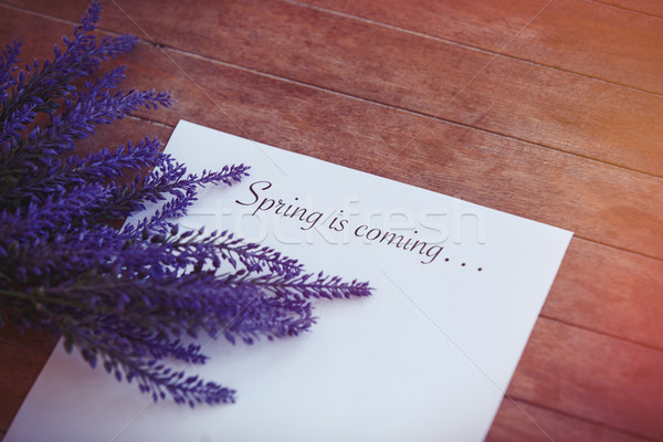 Paper with words Spring time and flower Stock photo © Massonforstock
