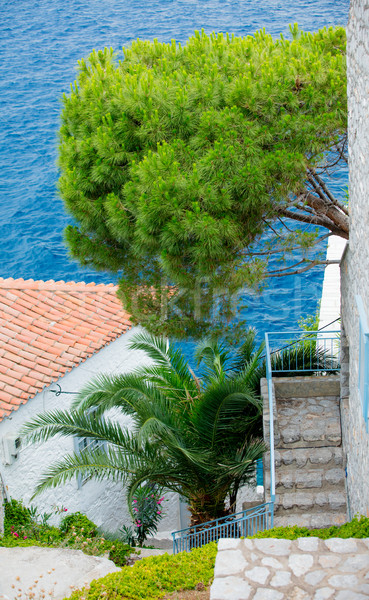 photo of cozy beautiful street on the sea background in sunny Gr Stock photo © Massonforstock