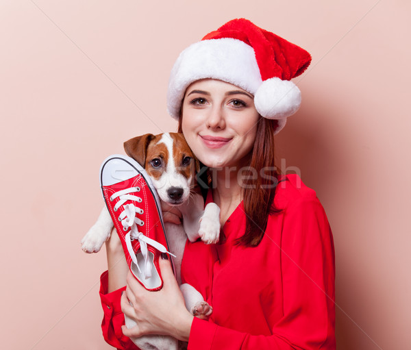 Mujer cachorro retrato jóvenes papá noel Foto stock © Massonforstock