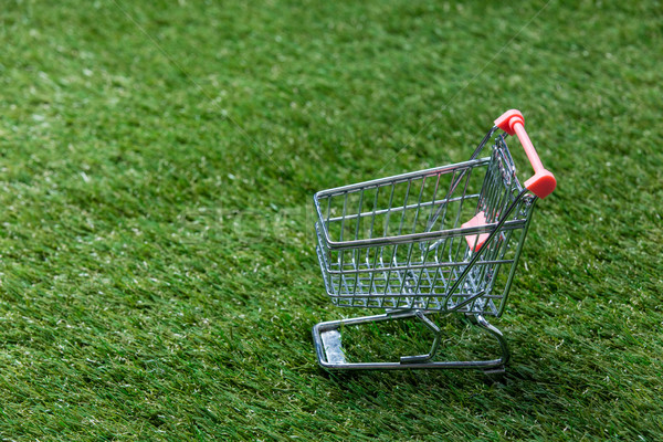 Self-service supermarket shopping trolley cart on spring or summ Stock photo © Massonforstock