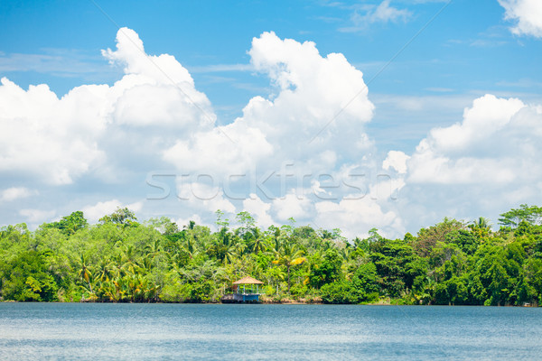 Lovely tropical coast Stock photo © Massonforstock