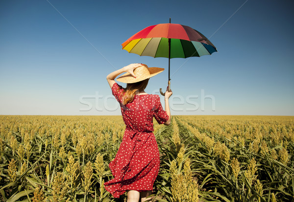 Girl with umbrella at corn field Stock photo © Massonforstock