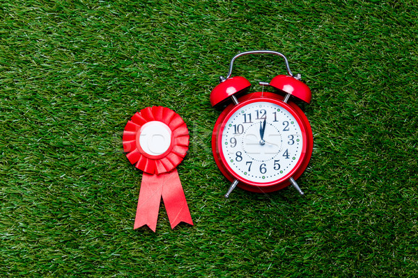 Rood belonen wekker groen gras boven punt Stockfoto © Massonforstock