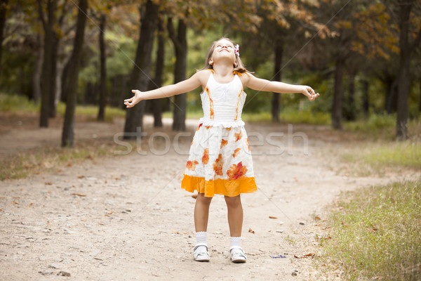 Child in the begin of the fall. Stock photo © Massonforstock
