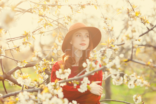 Kadın çiçek elma ağacı bahçe portre güzel Stok fotoğraf © Massonforstock