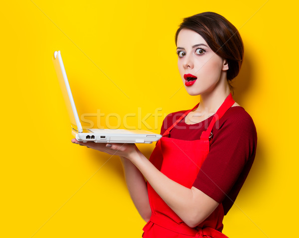 Portrait of young housewife with laptop Stock photo © Massonforstock