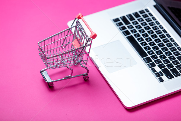 Schönen Warenkorb cool Laptop wunderbar rosa Stock foto © Massonforstock