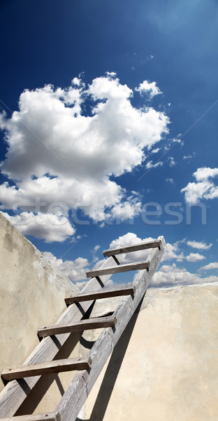 Treppe Himmel Baum Hintergrund Raum Kommunikation Stock foto © Massonforstock