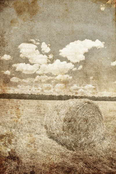 Golden bales in the countryside. Photo in retro style  Stock photo © Massonforstock