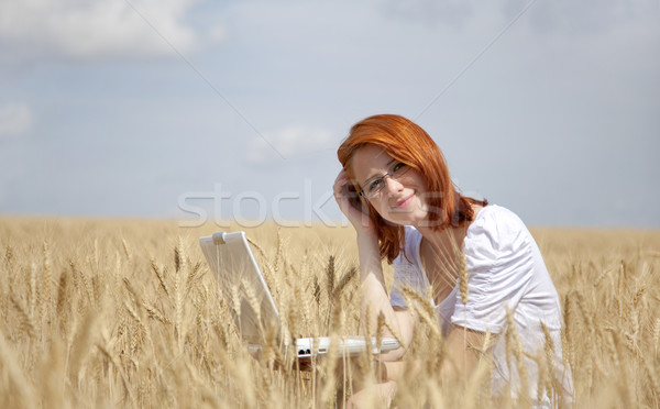 Stockfoto: Jonge · onderneemsters · witte · werken · notebook · tarwe