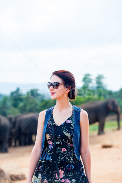 Stock photo: Young woman and wild elephants