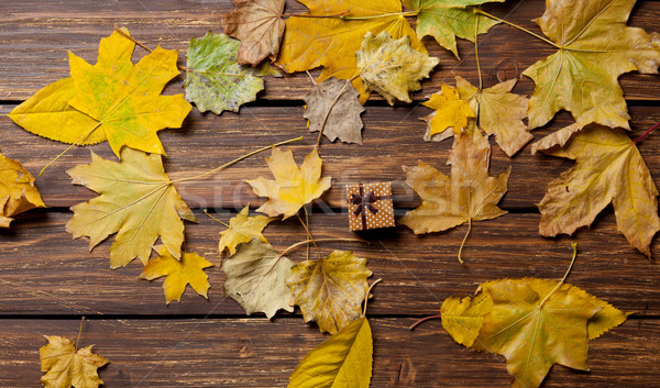 Geschenkbox Farbe gelb Herbst Natur orange Stock foto © Massonforstock