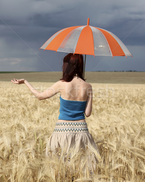 Lány búzamező vihar nap esernyő természet Stock fotó © Massonforstock