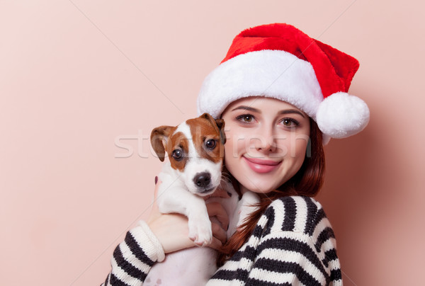 Vrouw puppy portret jonge kerstman Stockfoto © Massonforstock