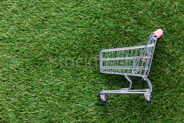 Self-service supermarket shopping trolley cart on spring or summ Stock photo © Massonforstock