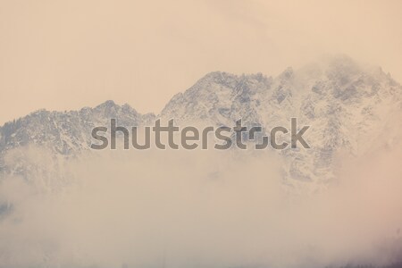 beautiful view on the high snowy mountains  Stock photo © Massonforstock