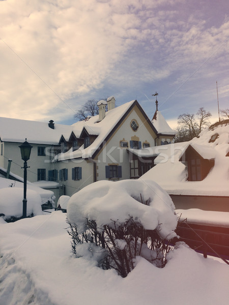 [[stock_photo]]: Photo · belle · bâtiment · couvert · neige · hiver