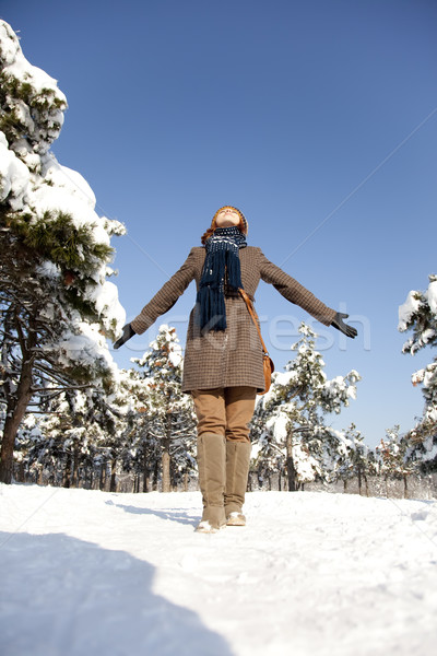 Gyönyörű fiatal nő tél park fa Stock fotó © Massonforstock