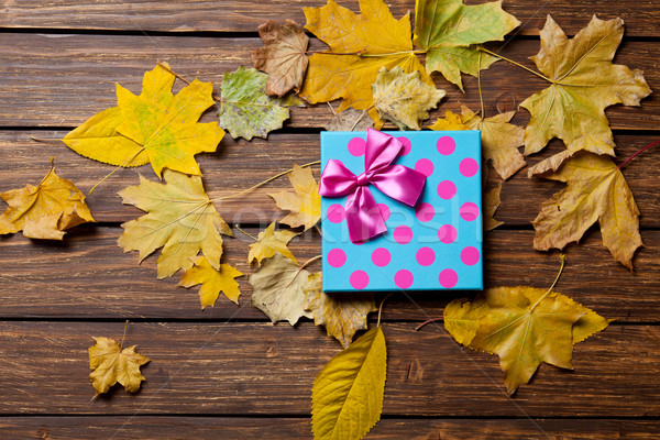 Gift box and leafs Stock photo © Massonforstock