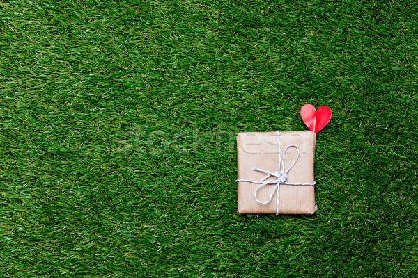 Vermelho pequeno caixa de presente primavera grama verde gramado Foto stock © Massonforstock