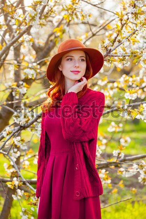 Kadın çiçek elma ağacı bahçe portre güzel Stok fotoğraf © Massonforstock