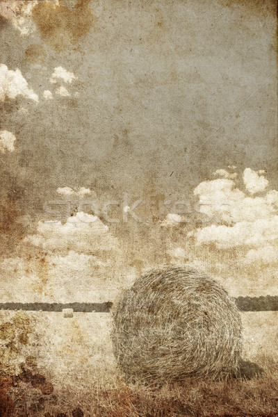 Golden bales in the countryside. Photo in retro style  Stock photo © Massonforstock