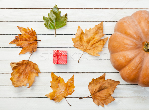Pumpkin and leafs with gift box Stock photo © Massonforstock