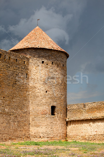 Alten Festung Himmel Gebäude Wand Reise Stock foto © Massonforstock