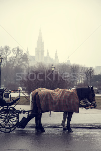 Two brown horses with coach Stock photo © Massonforstock