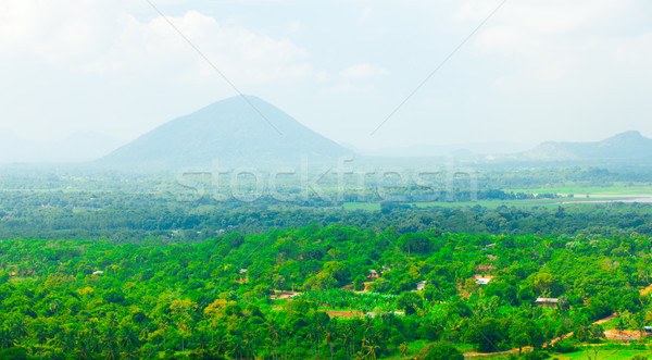 Sri Lanka tropischen Wald Berge Himmel Gras Stock foto © Massonforstock