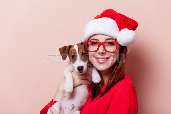 Kobieta szczeniak portret młodych Święty mikołaj Zdjęcia stock © Massonforstock