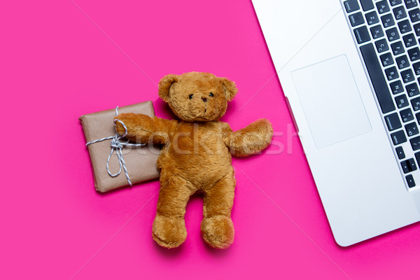 beautiful small gift, cute teddy bear and cool laptop on the won Stock photo © Massonforstock