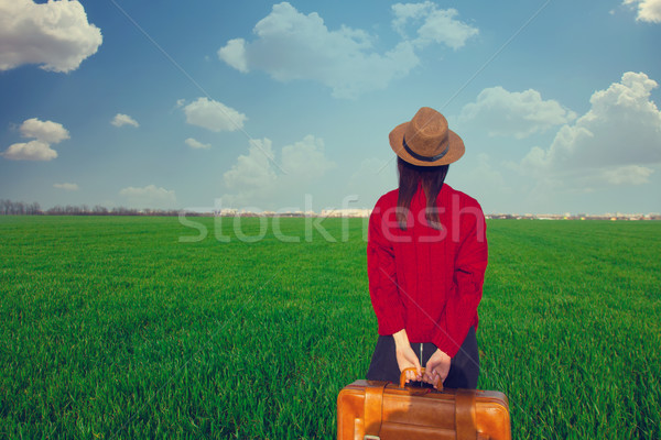 Bella piedi erba valigia meraviglioso Foto d'archivio © Massonforstock