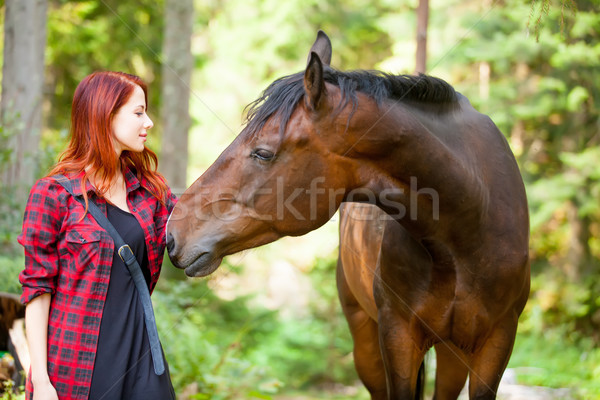 Foto stock: Hermosa · tocar · maravilloso · caballo · naturales