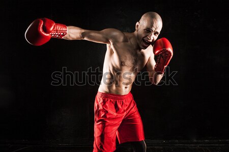 Foto d'archivio: Giovane · kickboxing · nero · giovani · maschio · atleta