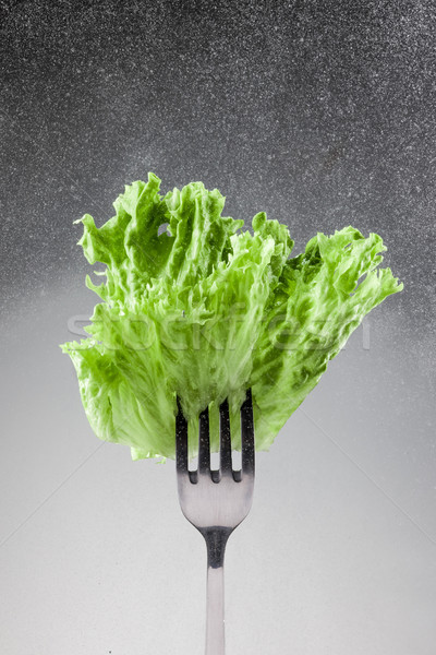 Green lettuce leaves on a fork  Stock photo © master1305