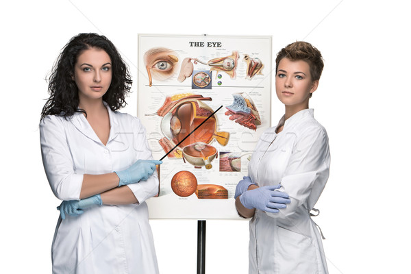 two optician or oculist women telling about structure of the eye Stock photo © master1305