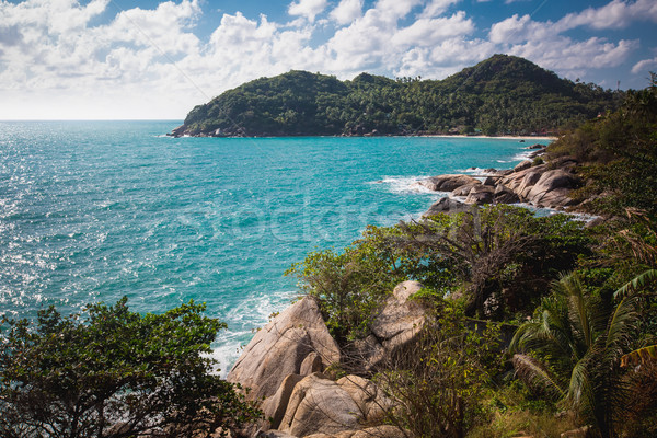 The rocky shore or beach  Stock photo © master1305