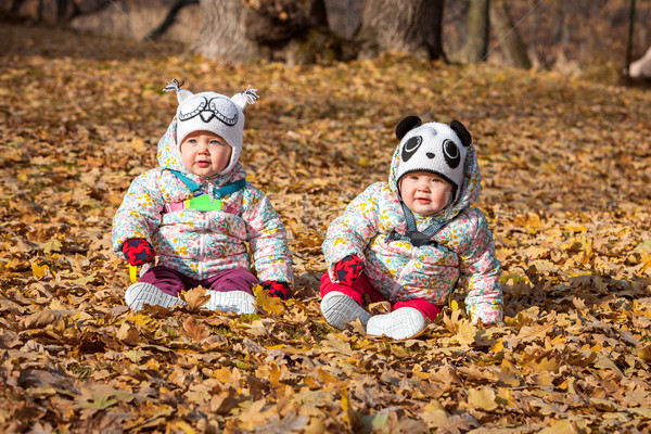 Dos pequeño sesión hojas de otoño nina Foto stock © master1305