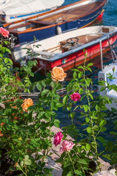 Rosen Pier Ansicht Blumen Boot Sonne Stock foto © master1305