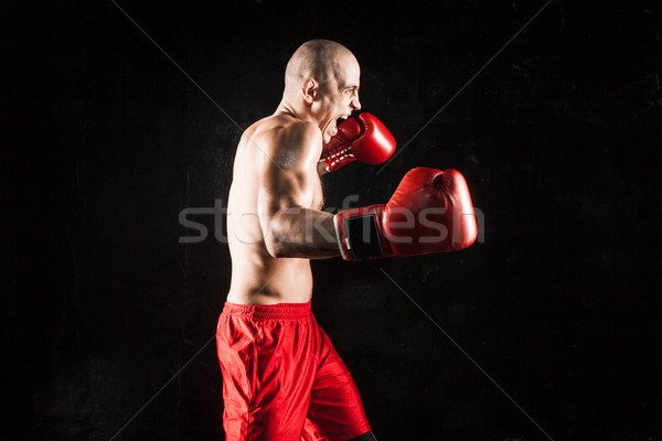 Genç kickboks siyah genç erkek atlet Stok fotoğraf © master1305