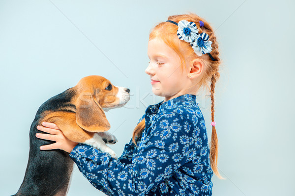 Foto stock: Menina · feliz · bigle · cinza · família · menina · cara