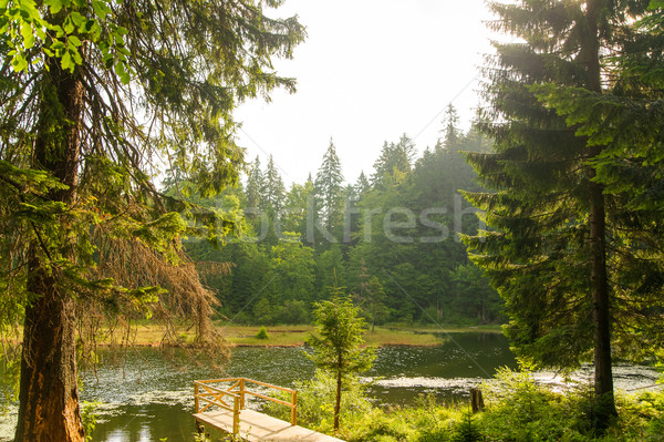 Beautiful lake in  mountains Stock photo © master1305