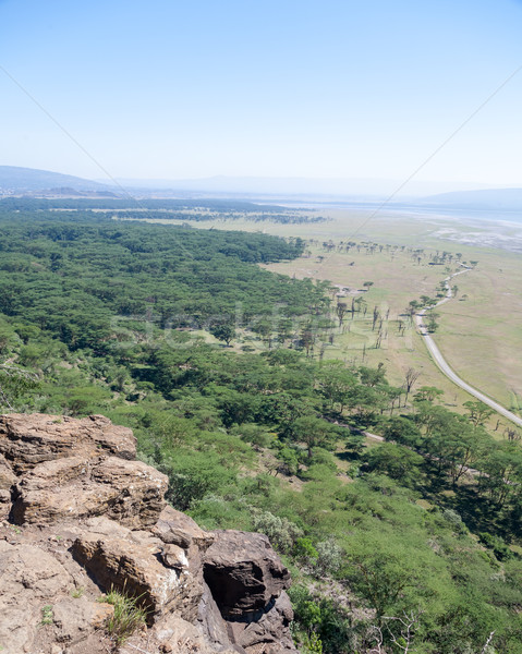 landscape Kenya Stock photo © master1305
