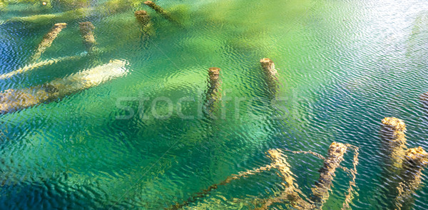 Croatia parc toamnă copaci jos apă Imagine de stoc © master1305