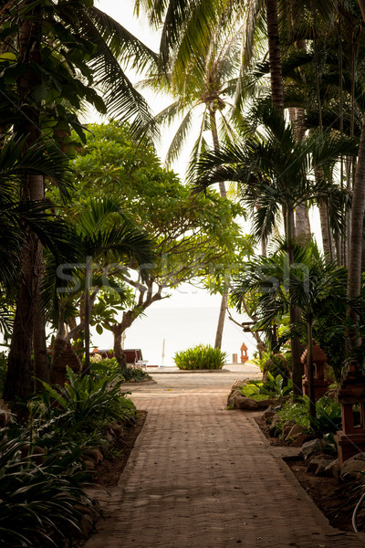 tropical garden and  the road to sea beach Stock photo © master1305