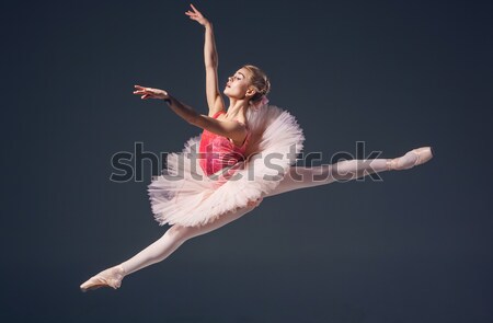 Stock foto: Schönen · weiblichen · Ballett-Tänzerin · grau · Ballerina · tragen